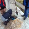 Капсула памяти